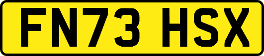 FN73HSX