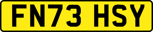FN73HSY