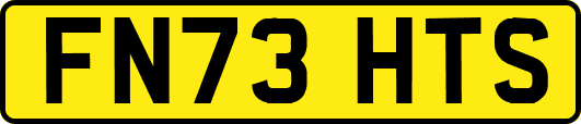 FN73HTS