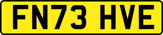 FN73HVE