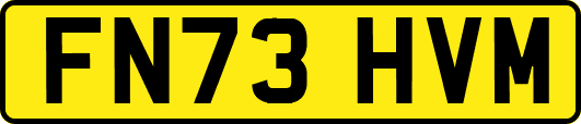 FN73HVM