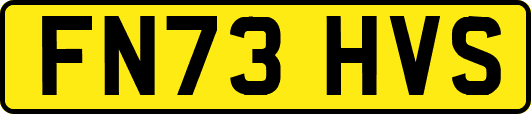 FN73HVS