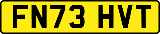 FN73HVT