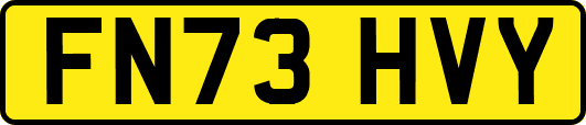 FN73HVY