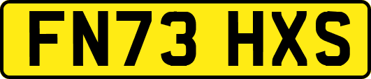FN73HXS