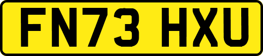 FN73HXU