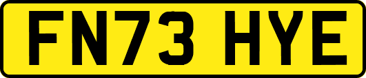 FN73HYE