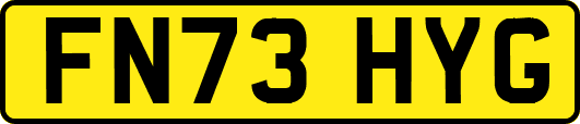 FN73HYG