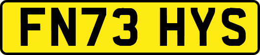 FN73HYS
