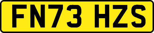 FN73HZS