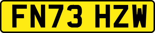 FN73HZW