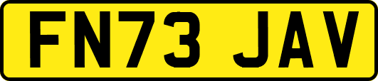 FN73JAV