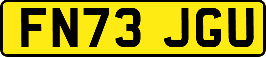 FN73JGU