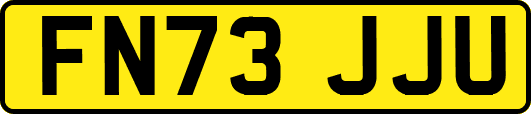 FN73JJU
