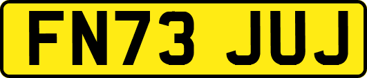 FN73JUJ