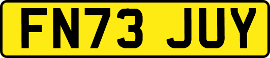 FN73JUY