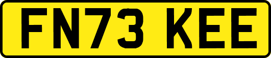 FN73KEE
