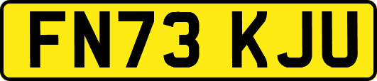 FN73KJU