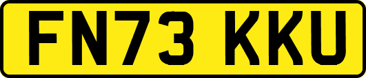 FN73KKU