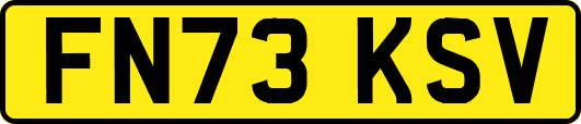FN73KSV