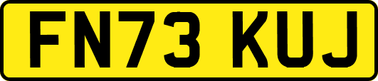 FN73KUJ