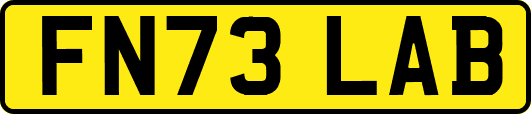 FN73LAB