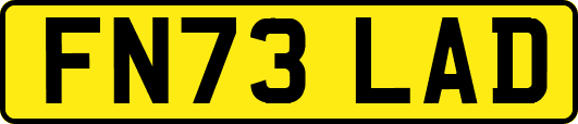 FN73LAD