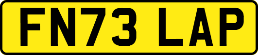 FN73LAP