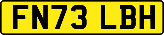 FN73LBH