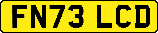 FN73LCD