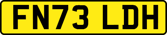FN73LDH