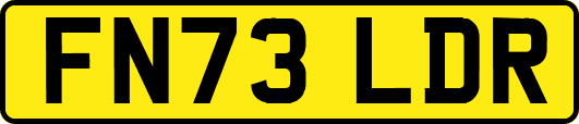 FN73LDR