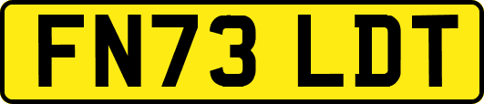 FN73LDT