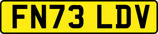 FN73LDV