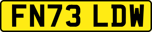 FN73LDW