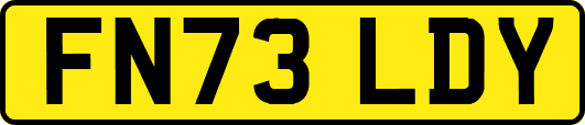 FN73LDY