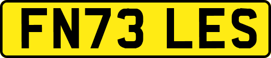 FN73LES
