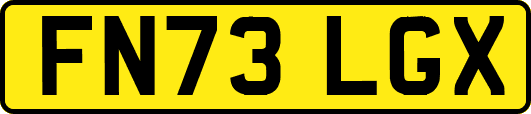 FN73LGX