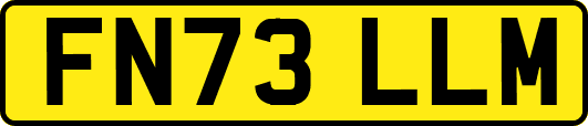 FN73LLM