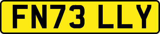 FN73LLY