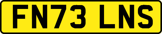 FN73LNS