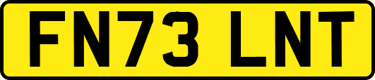 FN73LNT