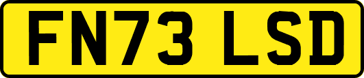FN73LSD