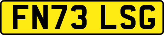FN73LSG