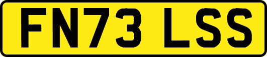 FN73LSS