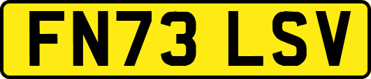FN73LSV