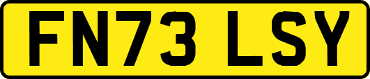 FN73LSY