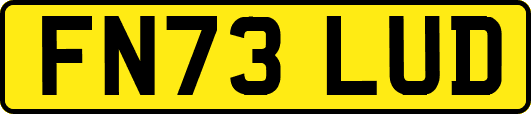 FN73LUD