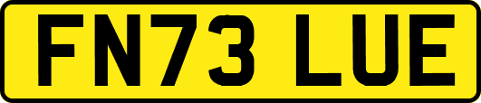 FN73LUE