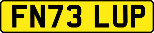 FN73LUP